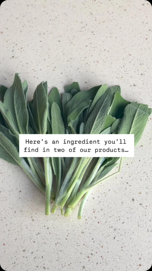 Another ingredient we love – Sage! 🌿

We use Sage in our award-winning Sage & Sea Salt Soap Bar for its fresh, herbaceous scent and skin-loving properties.

We ALSO use it in our deodorant, not just for fragrance, but because studies show it helps prevent bacteria from thriving on the skin, naturally reducing odour. ✨

A little plant with powerful benefits! 💚