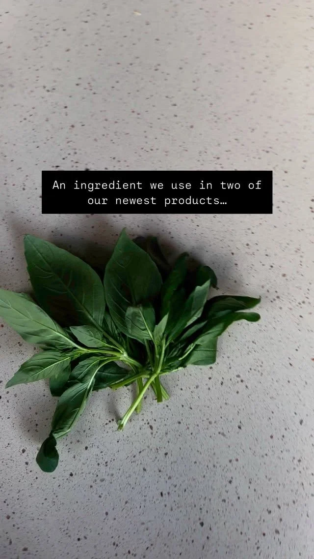 Basil - it’s more than just a kitchen herb! 🌱
It’s essential oil is a natural mind booster, helping to clear the head and fight mental fatigue. It also works as a gentle insect repellent, but we love it most for its fresh, uplifting scent and calming effect on the nerves 💚