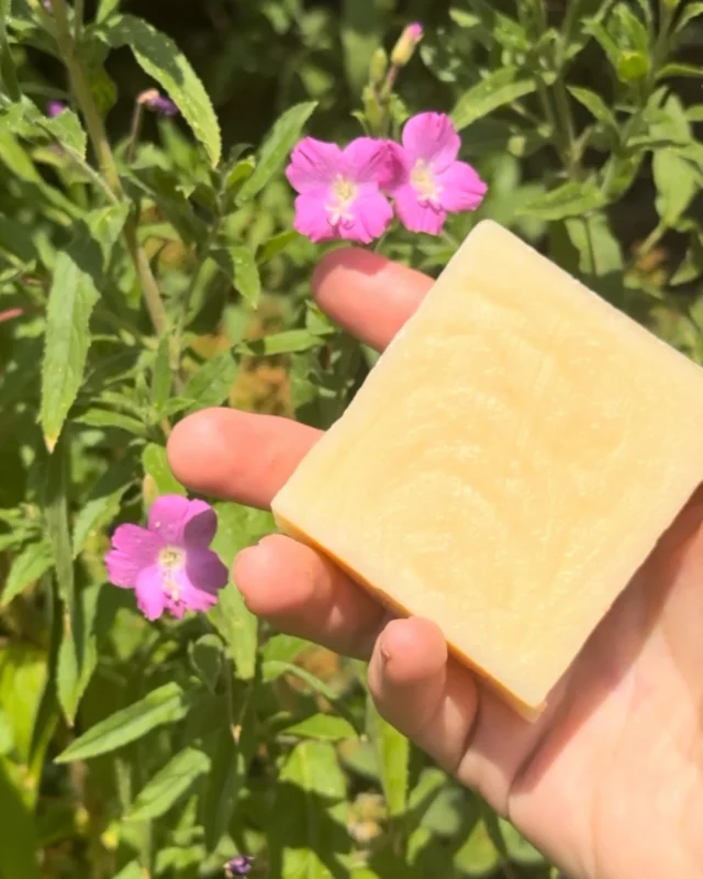 Our Lavender Lemon Soap bar 🍋💜
The perfect choice for a refreshing scent in the Summer months ✨