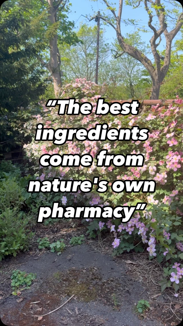 ✨ Everything we need is in nature ✨